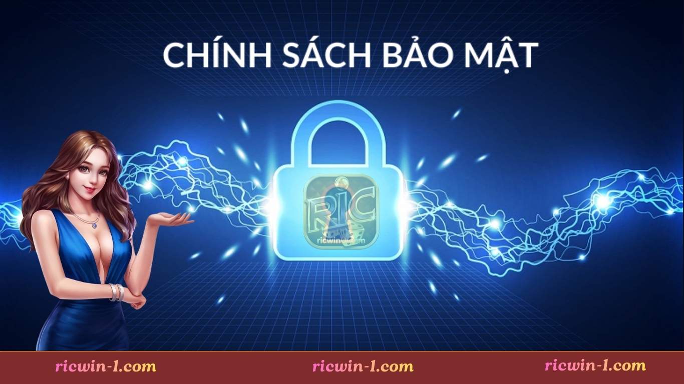 Nội dung chi tiết trong chính sách bảo mật Ricwin